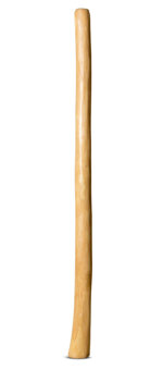 Medium Size Natural Finish Didgeridoo (TW1253)